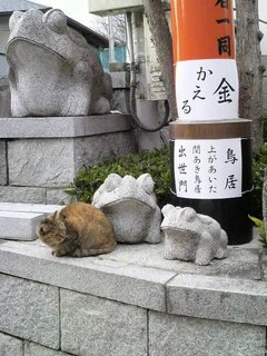 201101_nora3.jpg